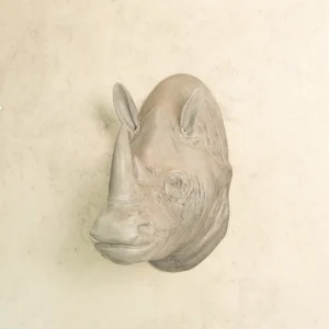 Rhino